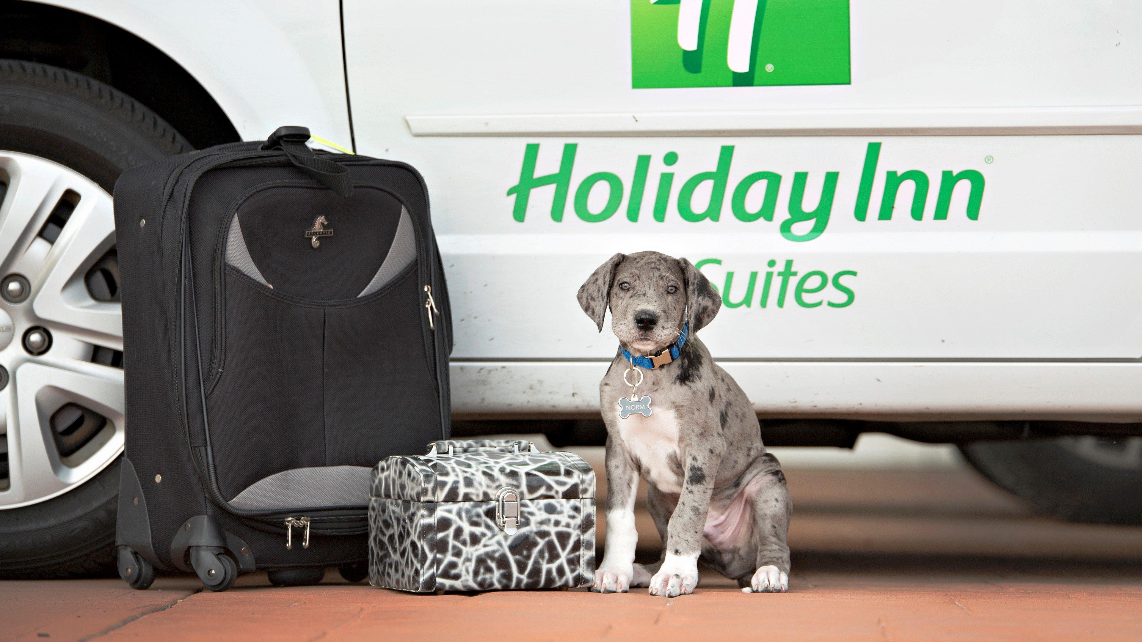 Holiday Inn Hotel & Suites Bloomington Airport By Ihg Ngoại thất bức ảnh